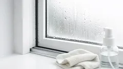 Schimmel rond ramen verwijderen in 8 simpele stappen (en zo voorkom je dat het terugkomt)